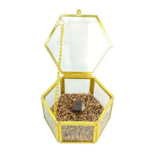 Cofre Sensorial Meteorito 17 - Condrito H5 - Los Vientos 003 - Colección Deco