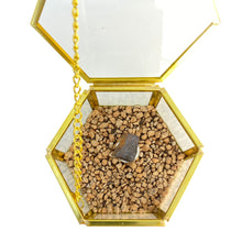 Cofre Sensorial Meteorito 17 - Condrito H5 - Los Vientos 003 - Colección Deco
