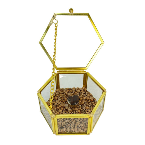Cofre Sensorial Meteorito 18 - Condrito H5 - Los Vientos 003 - Colección Deco