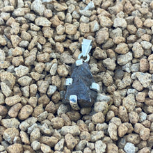 Colgante Meteorito 9- Condrito H6 - Los Vientos 357 - Colección Nebulosa
