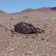 Colgante Meteorito 01 - Mesosiderito - Vaca Muerta - Colección Mundos en Colisión - Tienda Museo del Meteorito