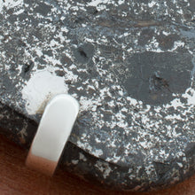 Colgante Meteorito 01 - Mesosiderito - Vaca Muerta - Colección Mundos en Colisión - Tienda Museo del Meteorito