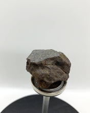 Silo Sensorial Meteorito 04 - Mesosiderito - Vaca Muerta - Colección Deco