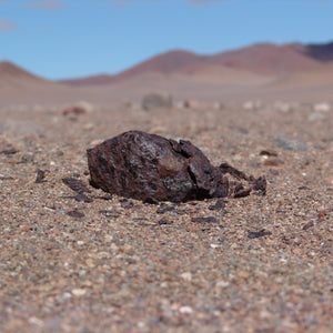 Colgante Meteorito 03 - Mesosiderito - Vaca Muerta - Mundos en Colisión - Tienda Museo del Meteorito